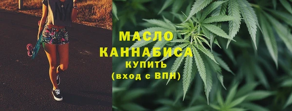 шишки Коряжма