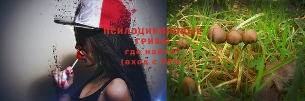 винт Кодинск
