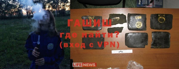 шишки Коряжма
