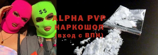 шишки Коряжма