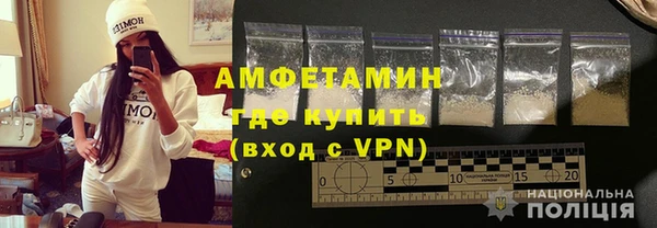шишки Коряжма